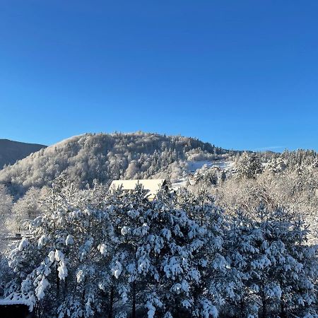 Panska Hata Яремче Екстериор снимка